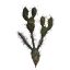 PRICKLY CACTUS 54CM GREEN