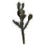 PRICKLY CACTUS 70CM GREEN
