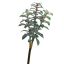 SUCCULENT PICK X 3 28CM GREEN
