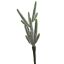 CACTUS PICK 30CM GREEN