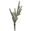 CACTUS PICK 36CM GREEN