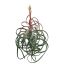TILLANSIA W/FLOWER 66CM GREEN