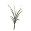 SMALL FLOCKED ALOE 39CM GREEN