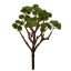 BERRY PLANT 24CM GREEN