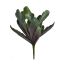 MEDIUM CACTUS 40CM GREEN
