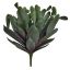 LARGE CACTUS 48CM GREEN