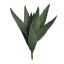 SMALL ALOE 43CM GREEN