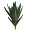 LARGE ALOE 60CM GREEN