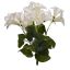 PETUNIA BUSH X 6 35CM CREAM