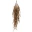 GRASS HANGING BUSH X5