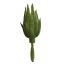ALOE PICK 18CM GREEN