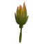 ALOE PICK 18CM GREEN PINK