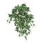 IVY BUSH (outdoor use) 50CM HOLLAND