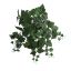 MEDIUM GRAPE BUSH 66CM GREEN
