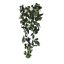 ROSE VINE BUSH X 11 70CM CREAM