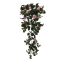 ROSE VINE BUSH X 11 70CM PINK