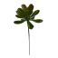 SUCCULENT PICK 19CM GREEN