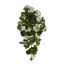 HANGING GERANIUM BUSH CREAM