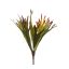 PLATYCERUM BUSH 39CM GREEN