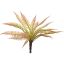 SMALL FERN BUSH BROWN 29CM GREEN