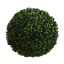 BOXWOOD BALL DIA 28CM GREEN