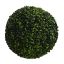 BOXWOOD BALL DIA 35CM GREEN