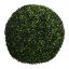 BOXWOOD BALL DIA 54CM GREEN