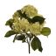 HYDRANGEA BUSH X 5 43M GREEN