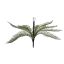 FERN BUSH 52CM GREEN