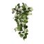 HANGING GERANIUM BUSH 68CM CREAM