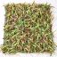 GRASS WALL 50X50CM