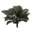 SALVIA ARGENTEA BUSH X 21 32CM GREY