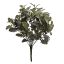 DUSTY MILLER BUSH X 12 GREEN