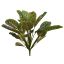 PEACOCK LEAVES BUSH X 4 W/21 LVS 41CM GREEN PINK
