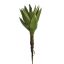 ALOE PLANT 33CM GREEN