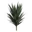 YUCCA PLANT 75CM GREEN