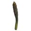 CACTUS PICK 20CM GREEN
