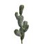 CACTUS PICK X 5 H 28CM GREEN