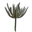 SUCCULENT PICK 19CM GREY