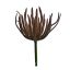 SUCCULENT PICK 20CM BURGUNDY