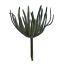 SUCCULENT PICK 20CM GREY