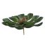 LARGE ECHEVERIA 11CM GREY