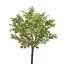 PLASTIC BOXWOOD BUSH X5 33CM GREEN