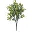BOXWOOD BUSH 35CM GREEN