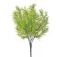 SPRENGERI BUSH 35CM GREEN