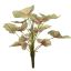 SYNGONIUM BUSH 36CM GREEN RED