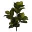 RUBBER PLANT W/40LVS 69CM GREEN