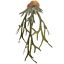 STAGHORN FERN BUSH 90CM GREEN