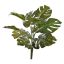 BUSH W/12LVS 40CM SPLIT PHILO