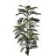 ARECA PALM W/68 LVS 210 CM GREEN